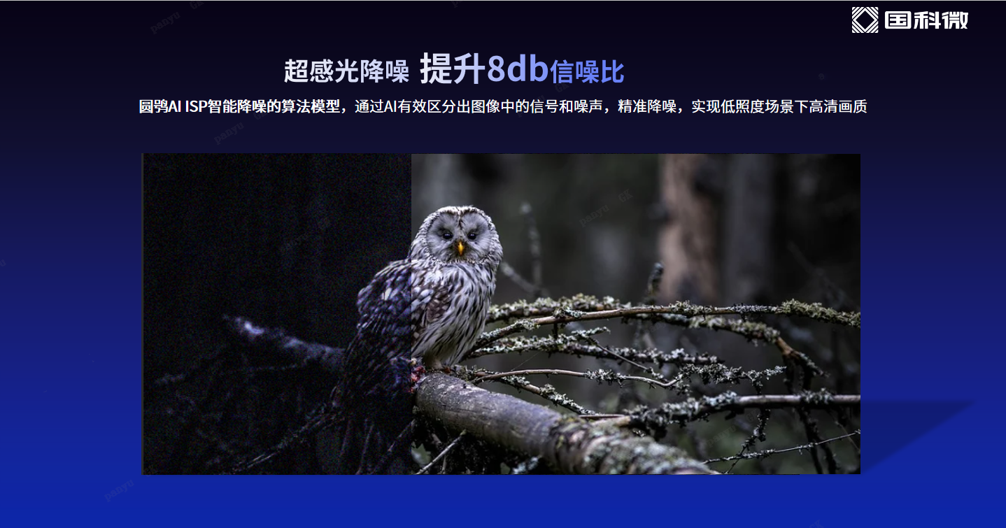 在线精品亚洲一区二区绿巨人